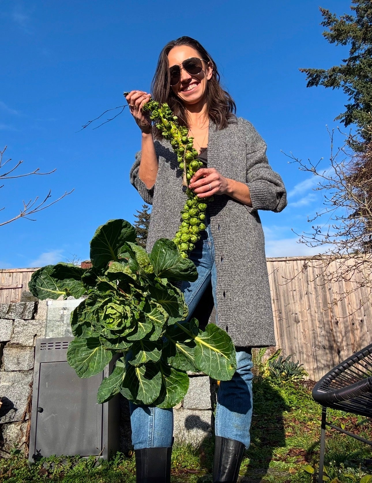 Brussel Sprouts