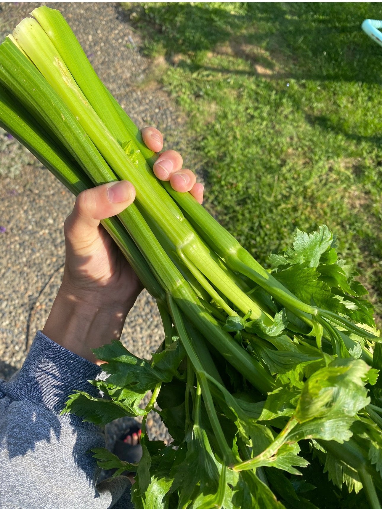 I don’t think you’re ready for this celery